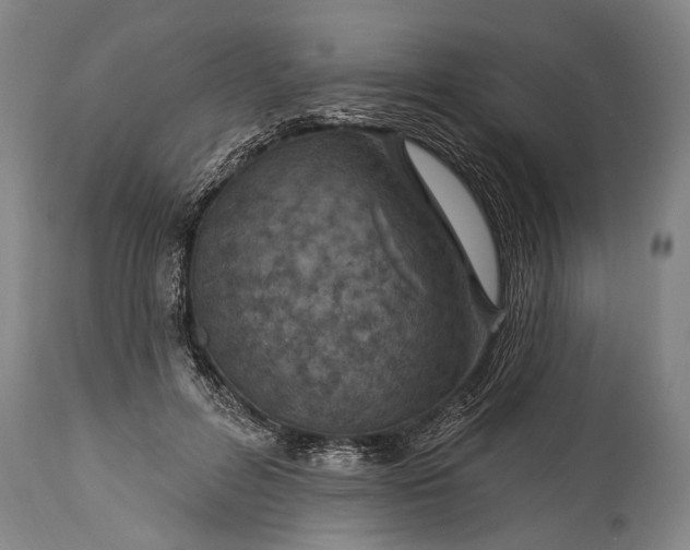 X0000115290600200911161636