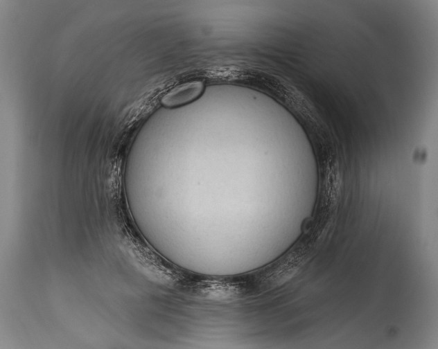 X0000115290601200911161636