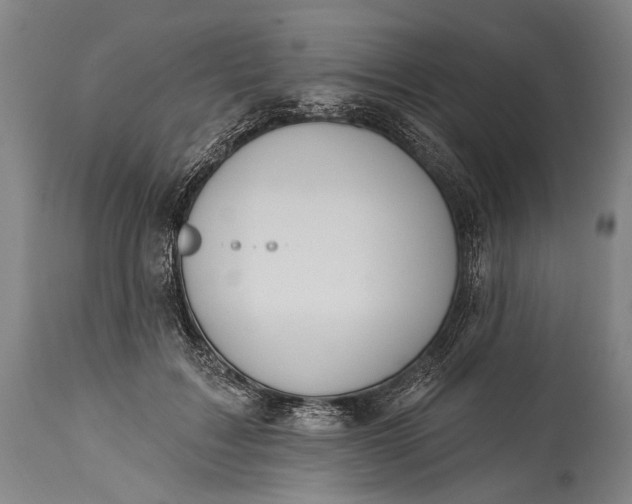 X0000115290603200911161636
