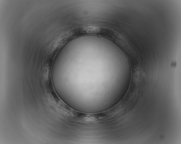 X0000115290604200911161636