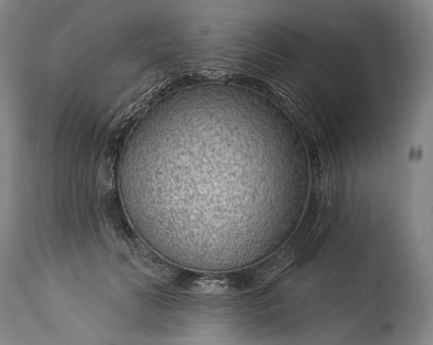 X0000115290606200911161636