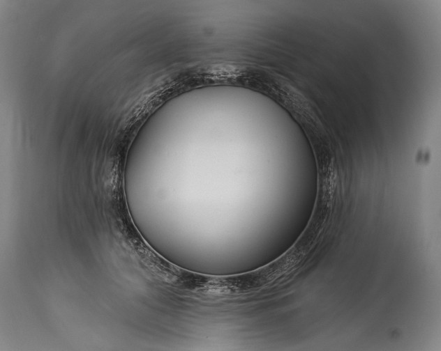 X0000115290608200911161636