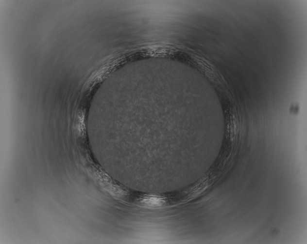 X0000115290610200911161636
