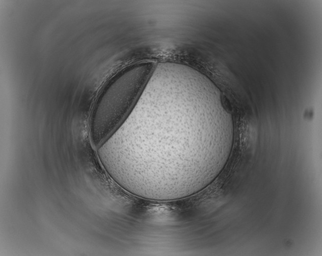 X0000115290611200911161636