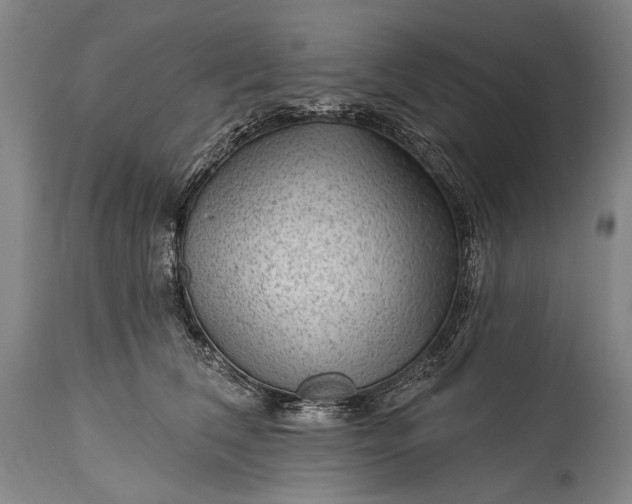 X0000115290612200911161636