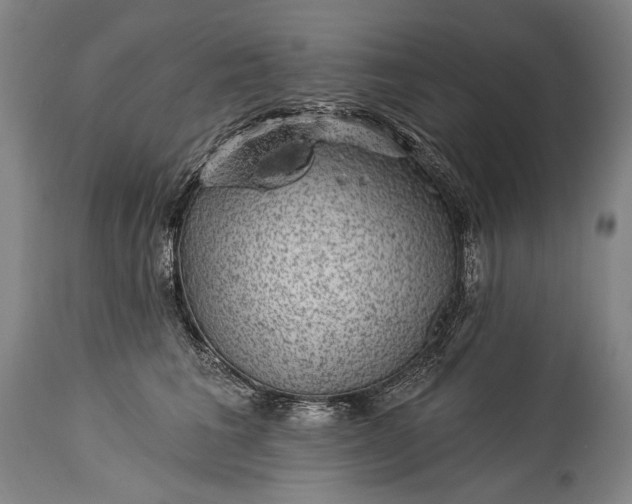 X0000115290613200911161636