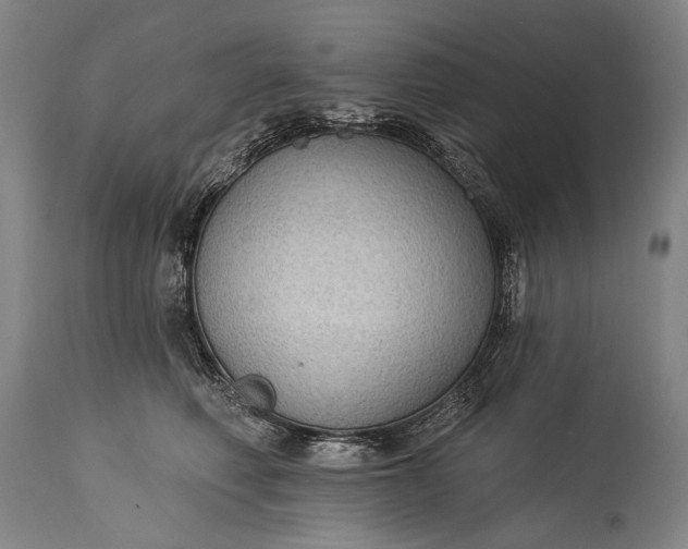 X0000115290614200911161636