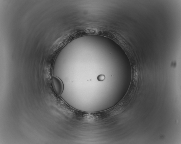 X0000115290616200911161635