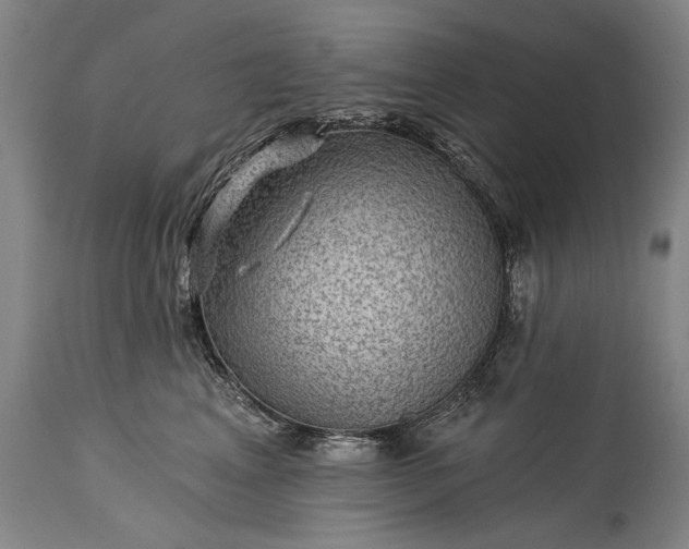 X0000115290617200911161635