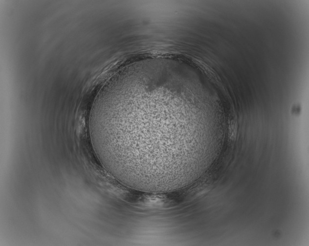X0000115290618200911161635
