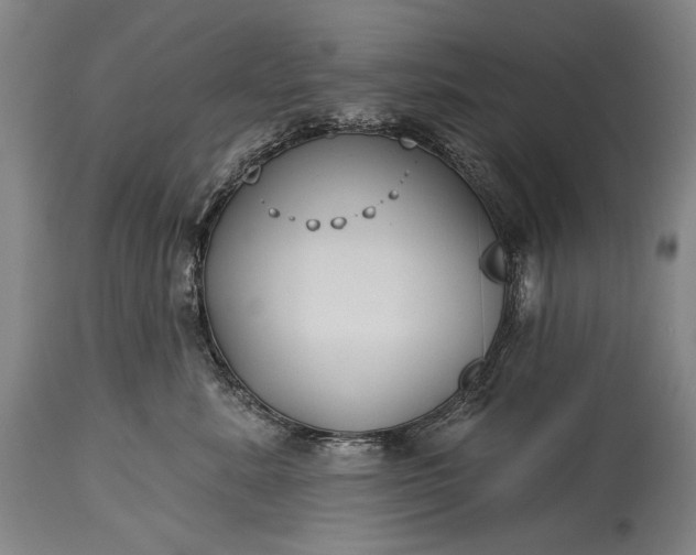 X0000115290619200911161635
