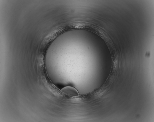 X0000115290620200911161635