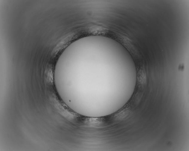 X0000115290622200911161635
