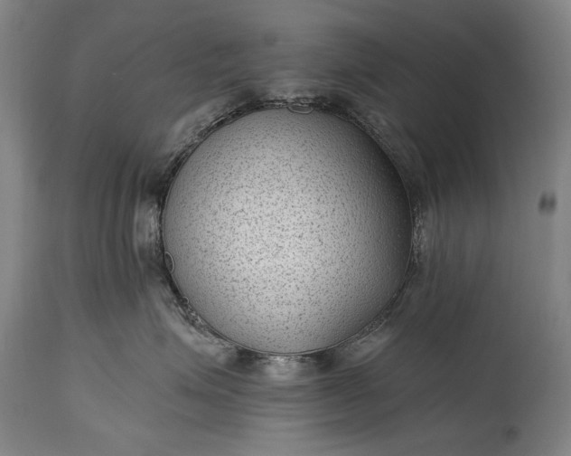 X0000115290623200911161635
