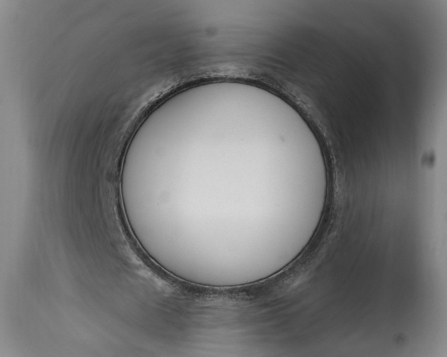X0000115290625200911161635