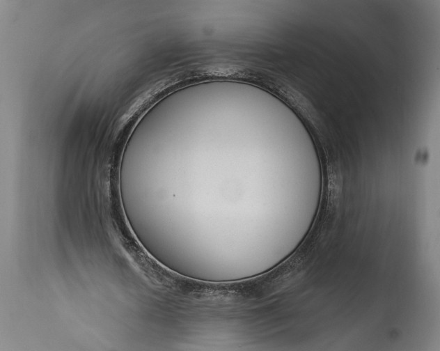 X0000115290626200911161635