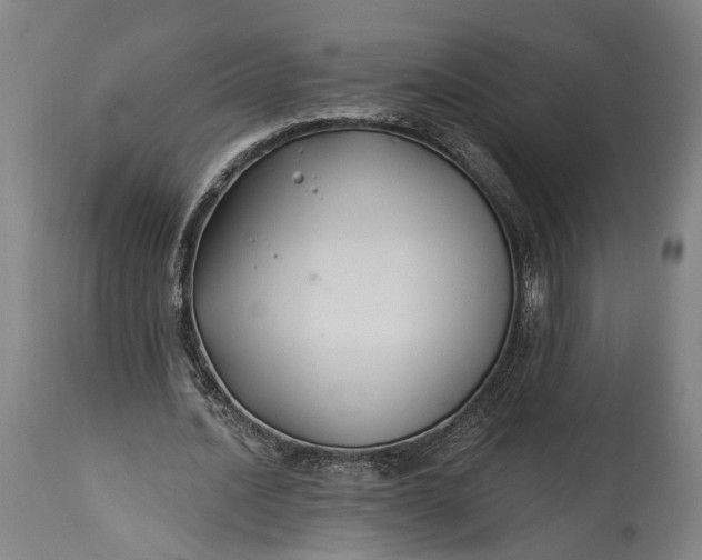 X0000115290628200911161635