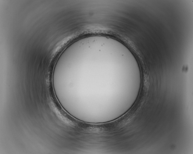 X0000115290629200911161635