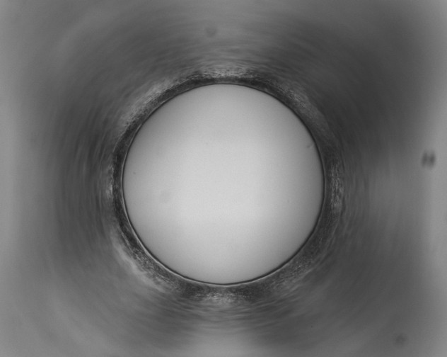 X0000115290631200911161635