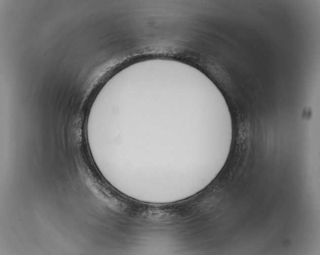 X0000115290632200911161635