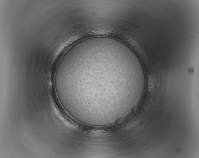X0000115290634200911161635