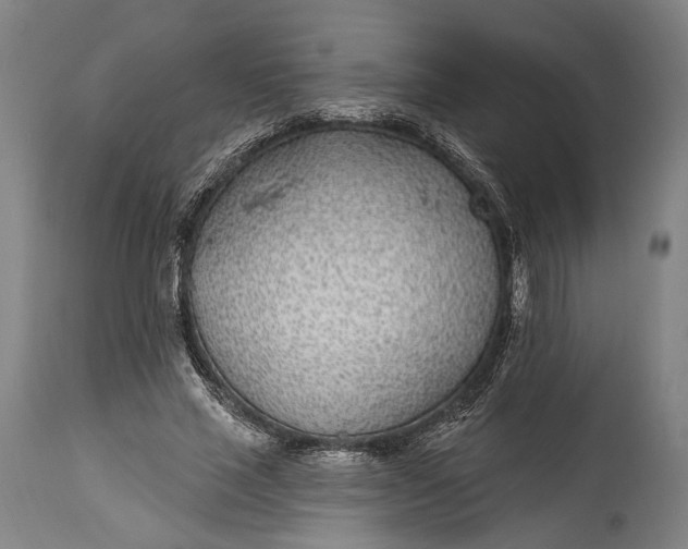 X0000115290637200911161635