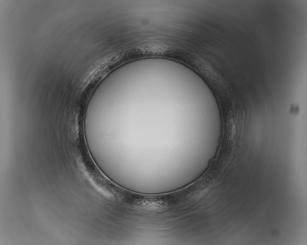 X0000115290638200911161635