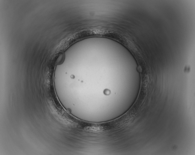 X0000115290639200911161635