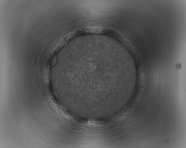 X0000115290641200911161635