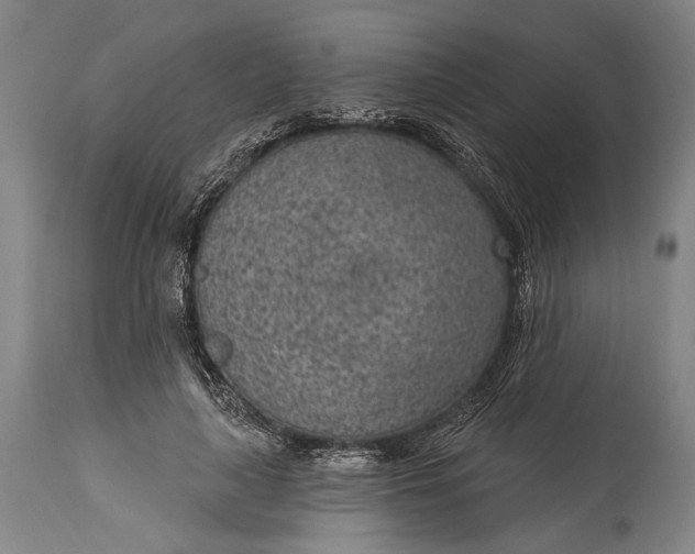 X0000115290643200911161635