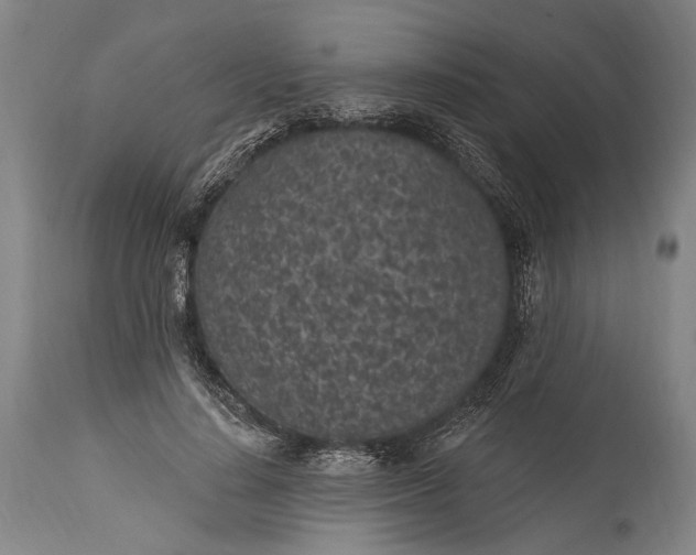 X0000115290644200911161635