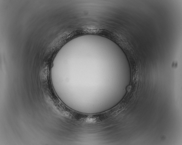 X0000115290647200911161635