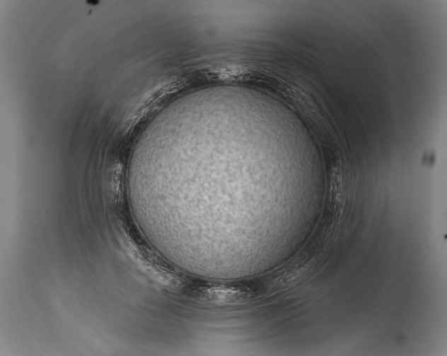 X0000115290650200911161635