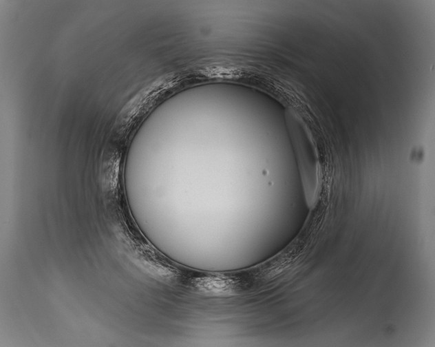 X0000115290652200911161635