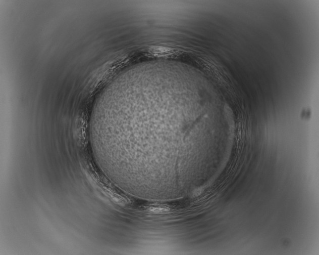 X0000115290653200911161635