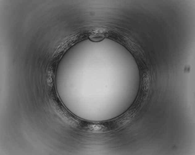 X0000115290654200911161635