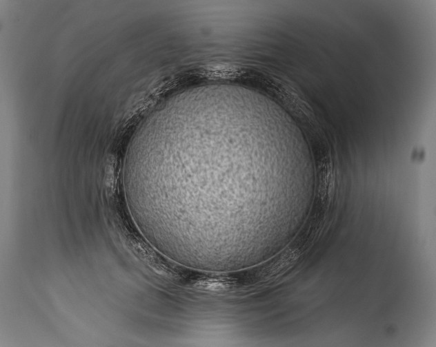 X0000115290655200911161635