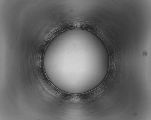 X0000115290656200911161635