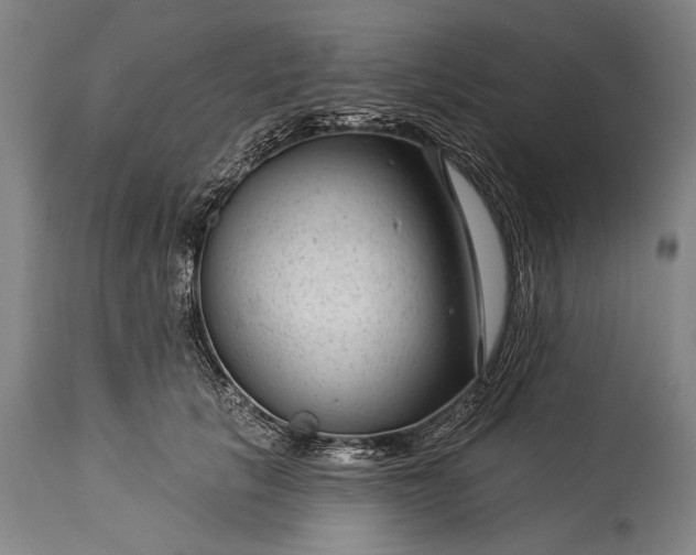 X0000115290657200911161635
