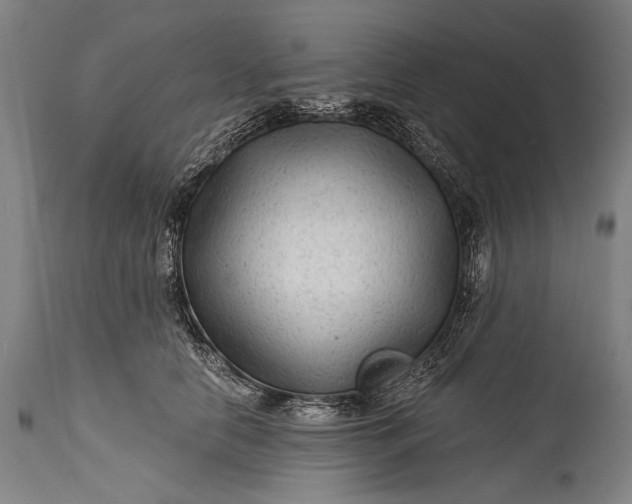 X0000115290658200911161635