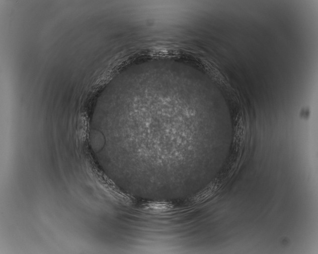 X0000115290659200911161635