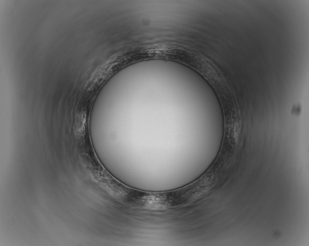X0000115290660200911161635