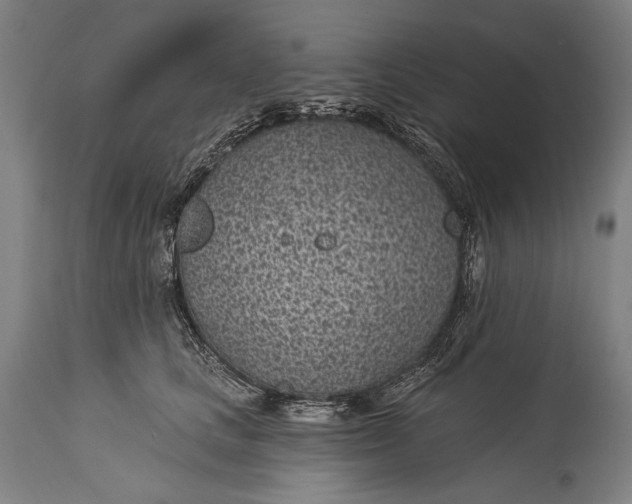 X0000115290661200911161635
