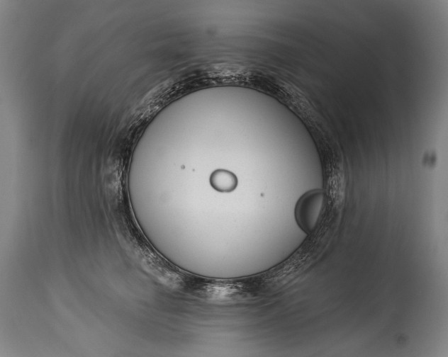 X0000115290662200911161635