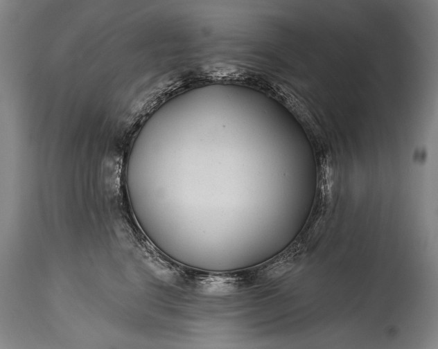 X0000115290664200911161635