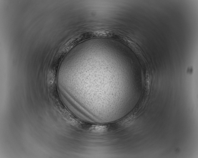 X0000115290665200911161635