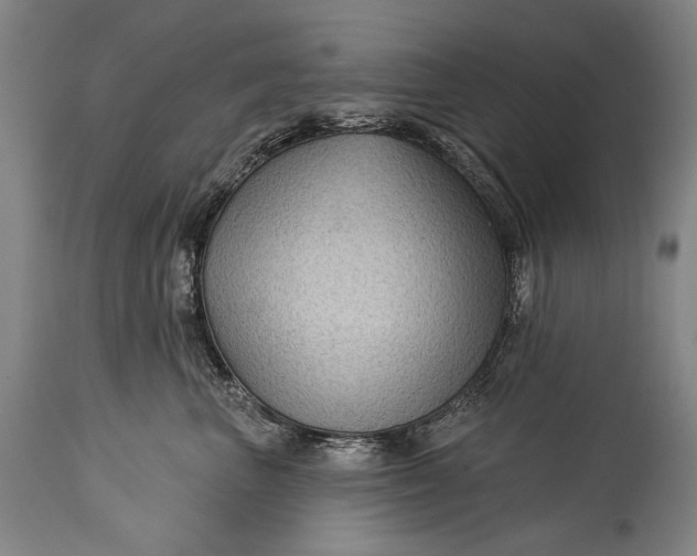 X0000115290667200911161635