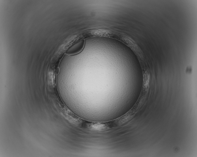X0000115290669200911161635