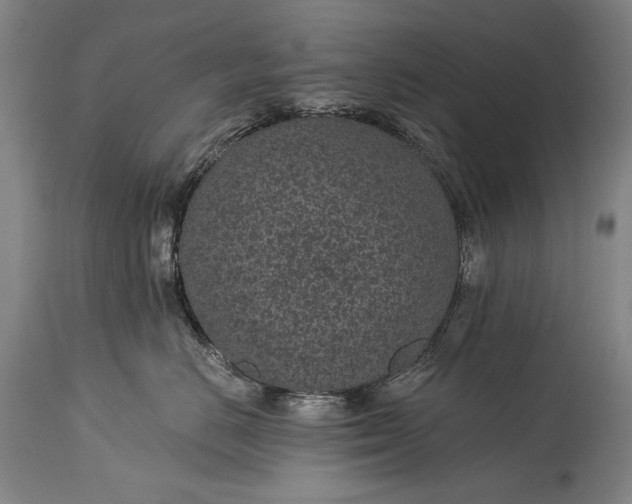 X0000115290670200911161635