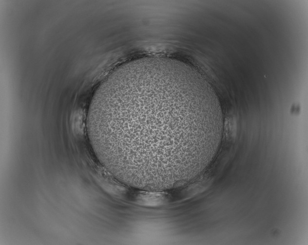 X0000115290671200911161635